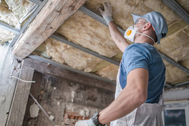 Best Eco-Friendly Insulation in , WY